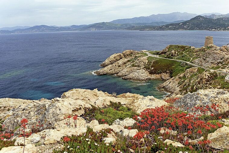 Blick auf die Bucht von Cap Corse