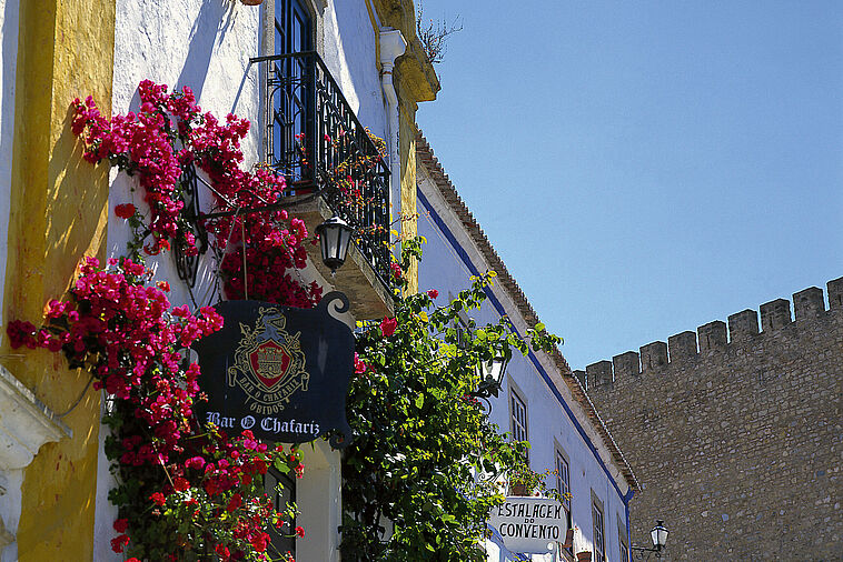 Häuserfassade mit Bourganvilla