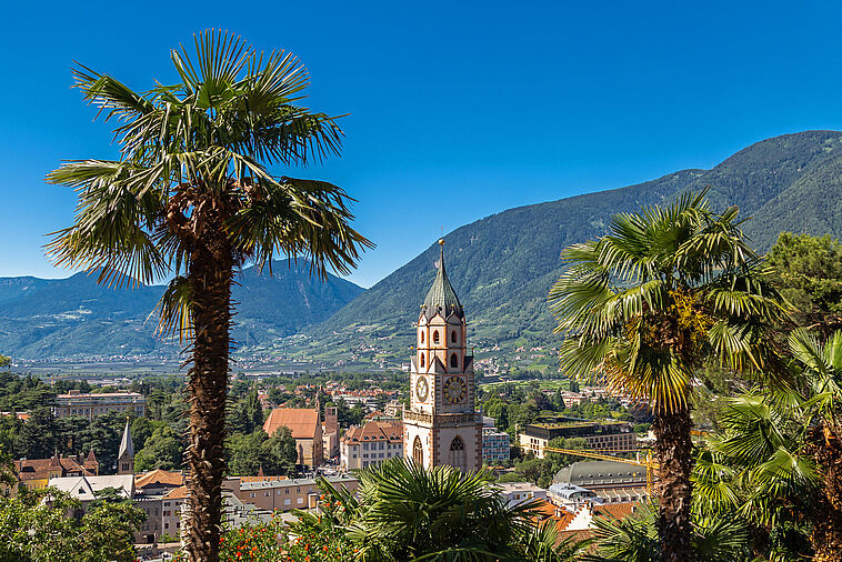 Blick durch zwei Palmen mit einer Kirche vor den Bergen